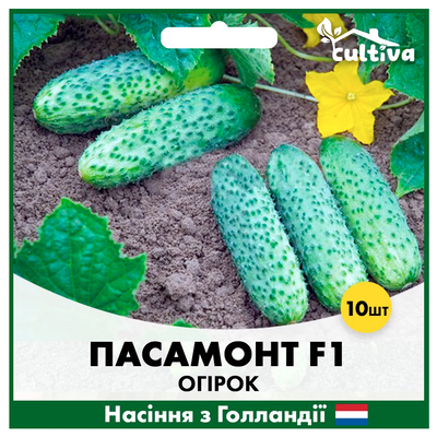 Огірок Пасамонте F1, 10 шт, Голландське насіння 00189 фото