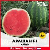 Арбуз Арашан F1, 5 шт, Голландские семена R51198 фото