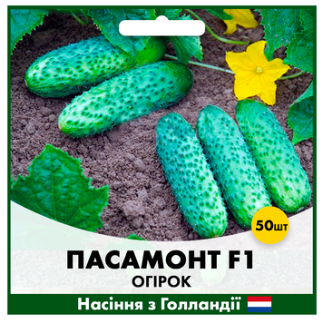 Огірок Пасамонте F1, 50 шт, Голландське насіння 00190 фото