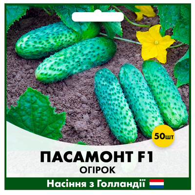 Огірок Пасамонте F1, 50 шт, Голландське насіння 00190 фото