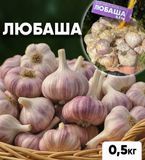 Часник озимий Любаша, 0.5 кг, 1-ша репродукція, калібр 4-5+ LB05 фото