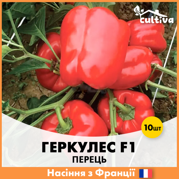 Перец Геркулес F1 10 шт (Французские семена) P1 фото