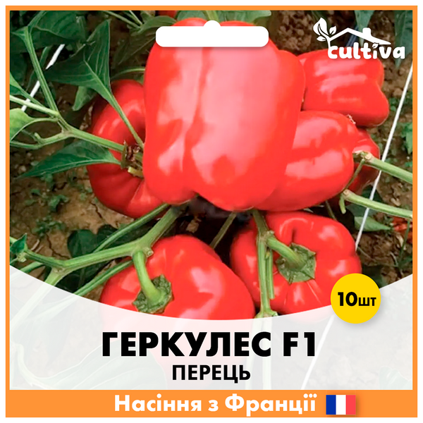 Перец Геркулес F1 10 шт (Французские семена) P1 фото