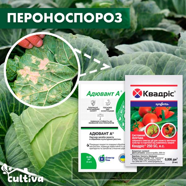 Пероноспороз капусты – комплект защиты kapusta-peron-spor-1 фото