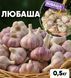 Часник озимий Любаша, 0.5 кг, 1-ша репродукція, калібр 4-5+ LB05 фото 1