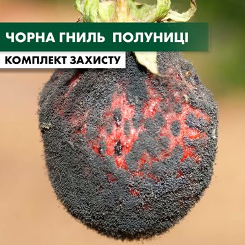 Чорна гниль полуниці - комплект захисту polunyca-chorn-gnil-1 фото