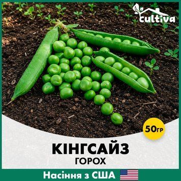 Горох Кінгсайз, 50 гр, Американське насіння R51270 фото