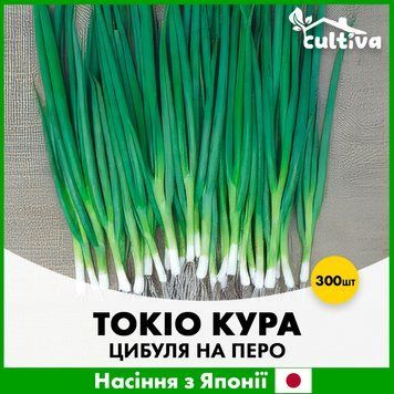 Лук на перо Токио Куро, 300 шт, Японские семена R51163 фото