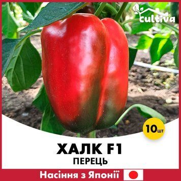 Перець Халк F1, 10 шт, Насіння з Японії R5104810 фото