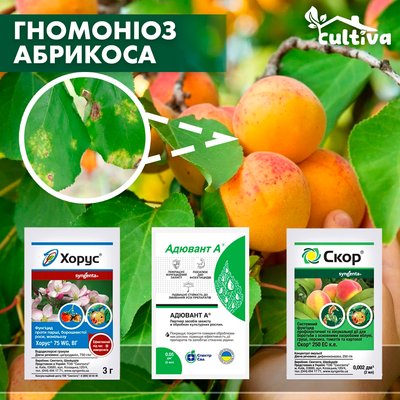 Гномоніоз абрикоса - комплект захисту gnomonioz-abr-nab фото