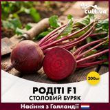 Столовий буряк Родіті F1, 200 шт, Голландське насіння R51212 фото