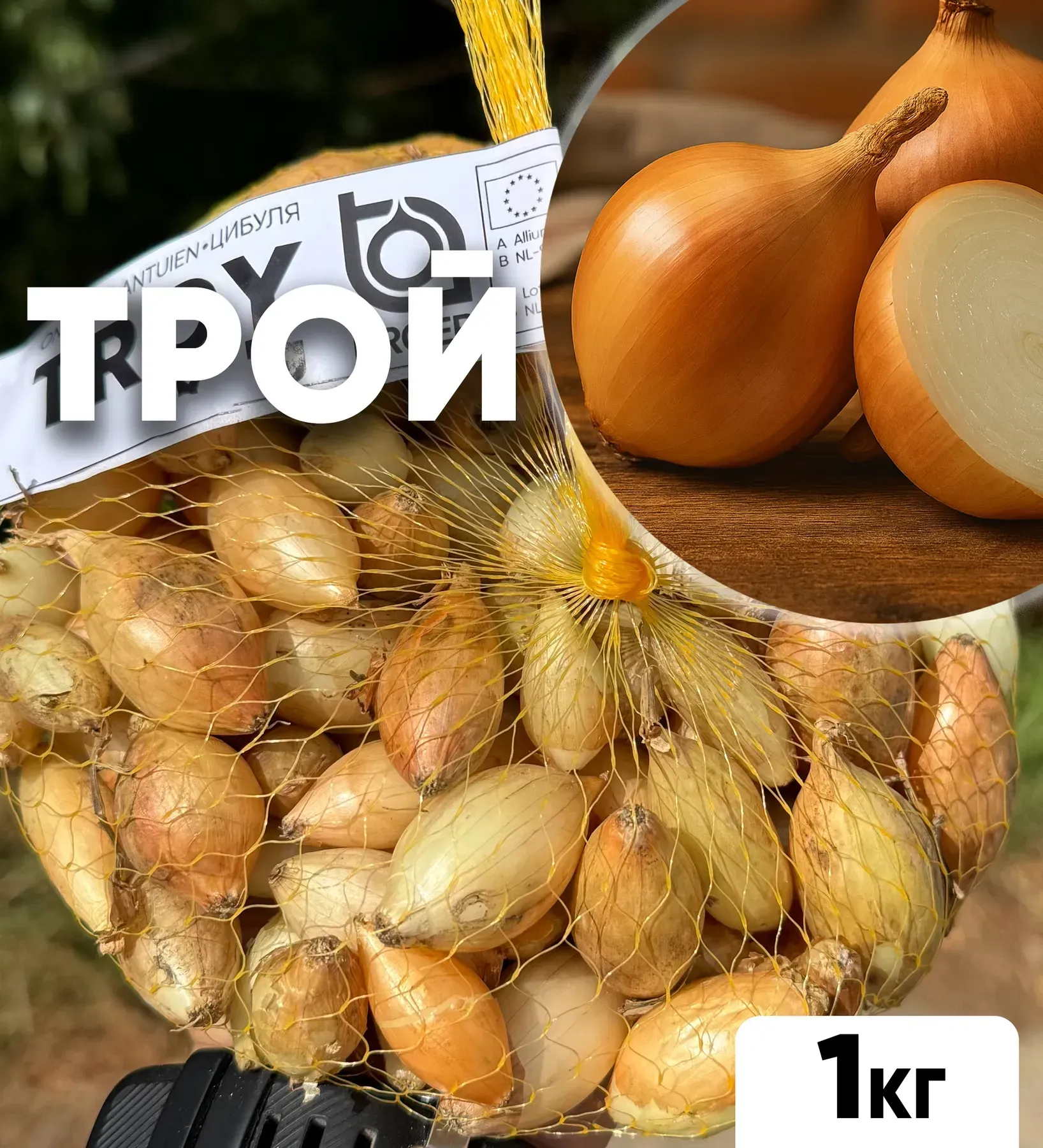 Цибуля сіянка Трой, 1 кг, озима цибуля-сіянка Broer