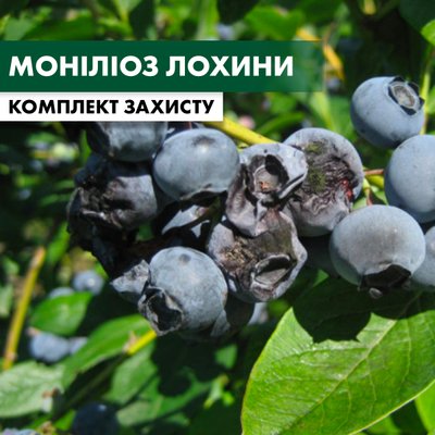 Моніліоз лохини - комплект захисту lohyna-monilioz-1 фото