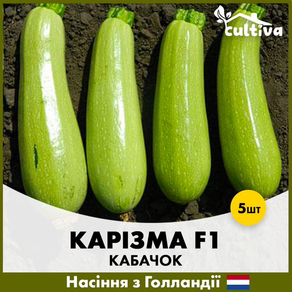 Кабачок Карізма F1, 5 шт, Голландське насіння 00228 фото