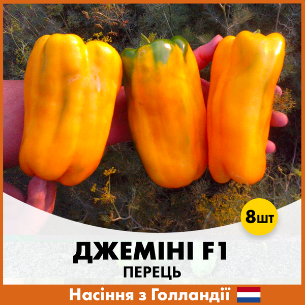 Перец Джемини F1, 8 шт, Голландские семена 00192 фото