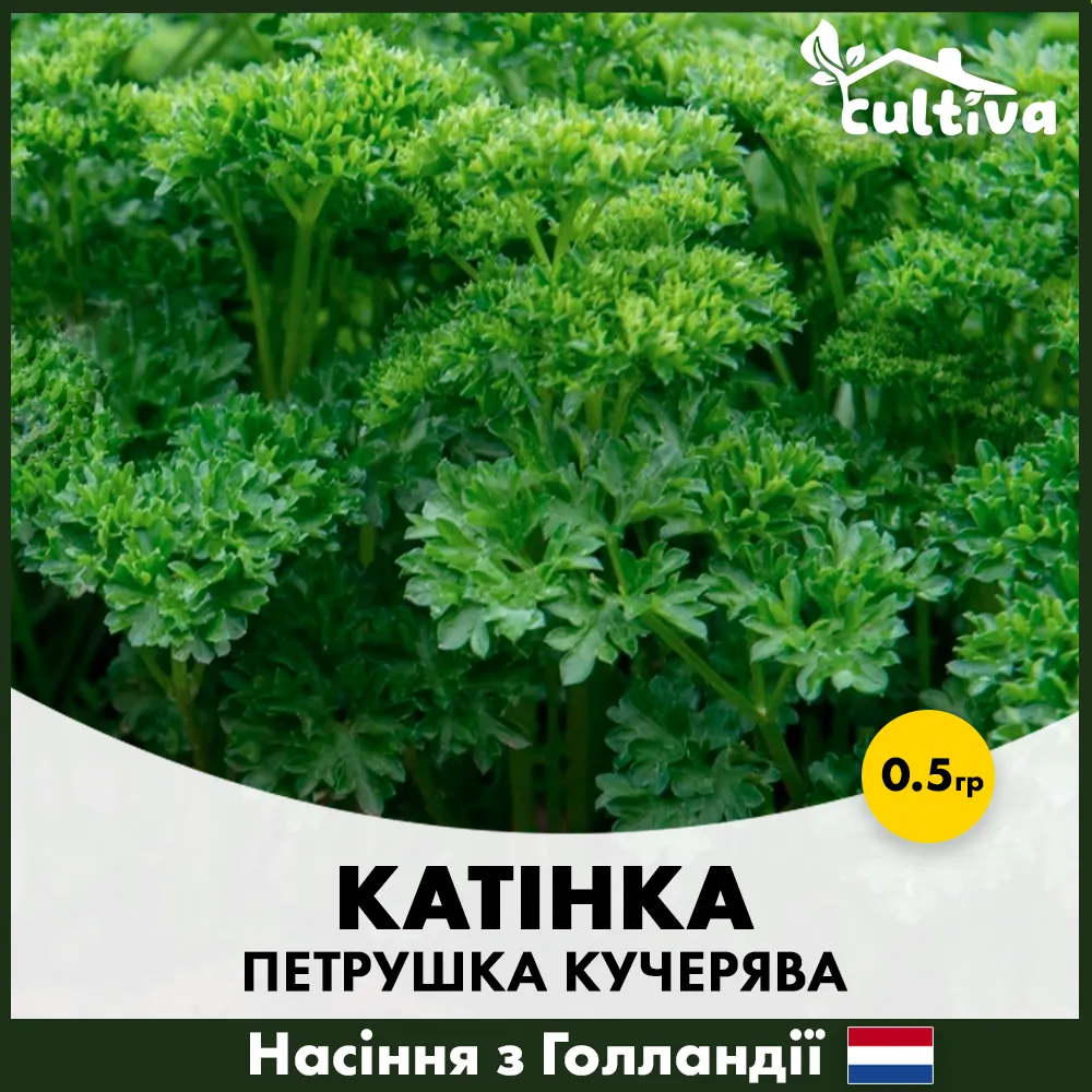 петрушка катінка