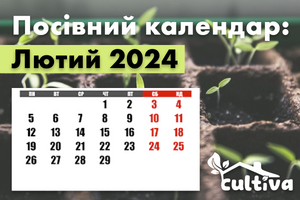 Посівний календар на Лютий 2024 фото