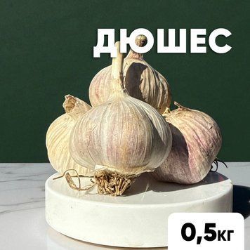 Чеснок Дюшес, 0,5 кг, 1-я репродукция, калибр 4-5+ DSH05 фото