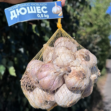 Чеснок Дюшес, 0,5 кг, 1-я репродукция, калибр 4-5+ DSH05 фото