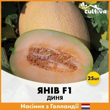 Диня Янів F1, 25 шт, Голландське насіння R51115_25 фото