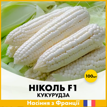 Цукрова кукурудза Ніколь F1, 100 шт R30130-100 фото