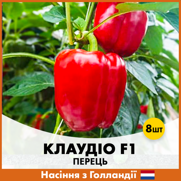 Перец Клаудио F1, 8 шт, Голландские семена 00193 фото