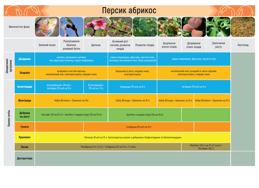 БІО-набір для вирощування персику/абрикосу, Жива Земля bnab-pab фото