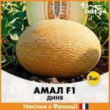 Дыня Амал F1, 5 шт, Французские семена R51202 фото