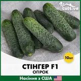 Огірок Стінгер F1, 10 шт, Американське насіння R51225 фото