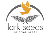 Lark Seeds