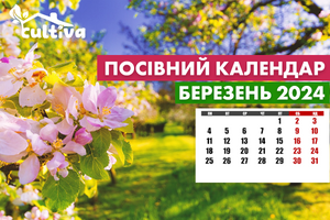 Посівний календар на березень 2024 фото