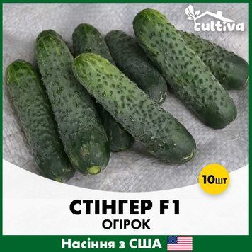Огурец Стингер F1, 10 шт, Американские семена R51225 фото