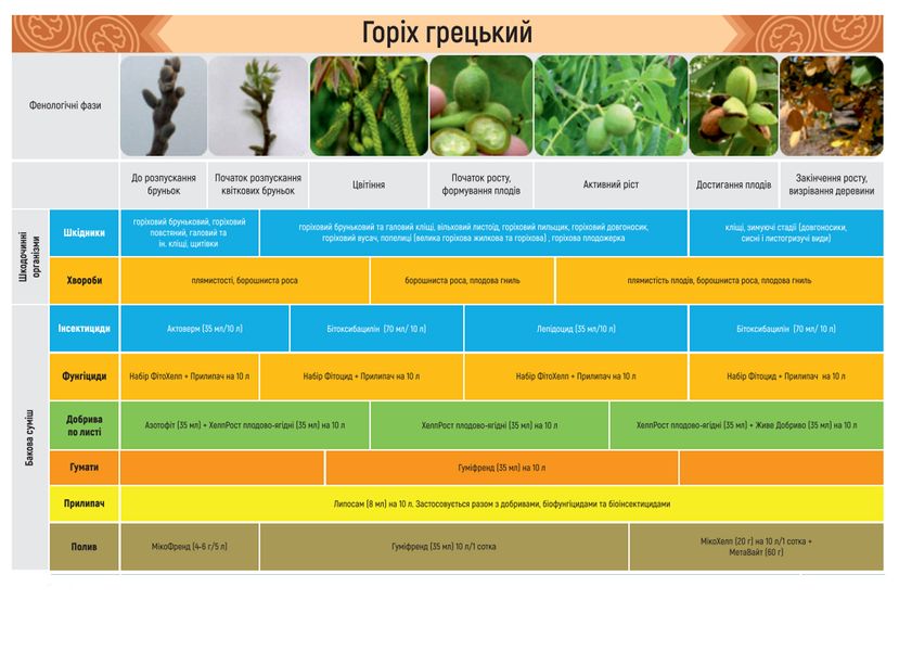 БИО-набор для выращивания ореха, Жива Земля bnab-nut фото