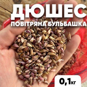 Воздушка чеснок Дюшес, 100 г, фракция 5-6 мм. DPBL100 фото