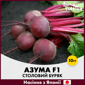 Столовий буряк Азума F1, 10 гр R50226 фото