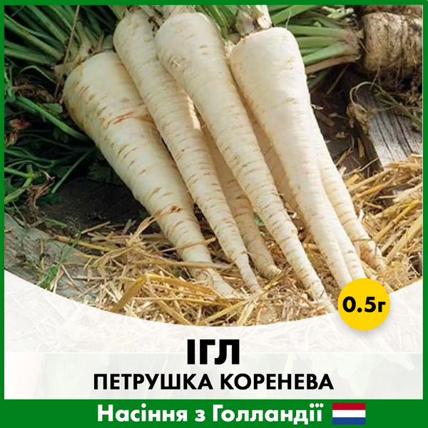 Петрушка корневая Игл, 0.5 г, Голландские семена 00139 фото