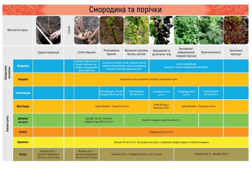 БІО-набір для вирощування смородини та порічки, Жива Земля bnab-por фото