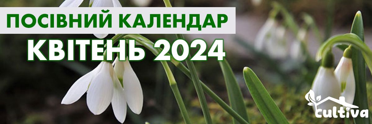 Лунный посевной календарь на июнь 2024: что и когда можно делать на участке