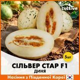 Диня Сільвер Стар F1, 5 шт, Насіння з Південної Коре R51168 фото