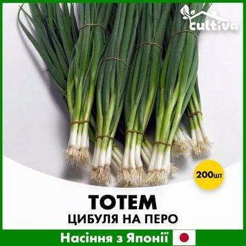 Цибуля на Перо Тотем, 200 шт, Японське насіння R51260 фото