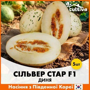 Диня Сільвер Стар F1, 5 шт, Насіння з Південної Коре R51168 фото
