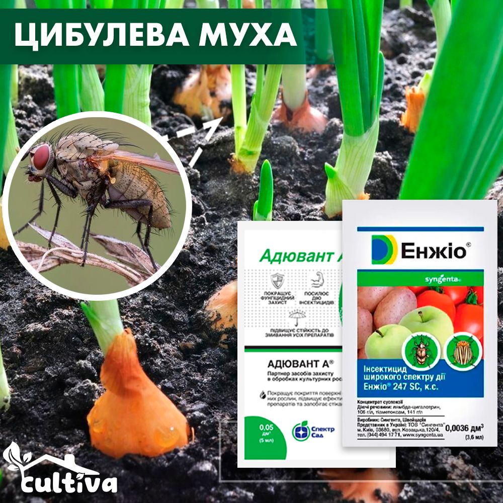 Купить Луковая муха – комплект защиты cybul-muha-1 в интернет магазине  cultiva