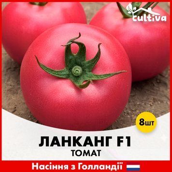 Томат Ланканг F1, 8 шт, Голландские семена R51206 фото