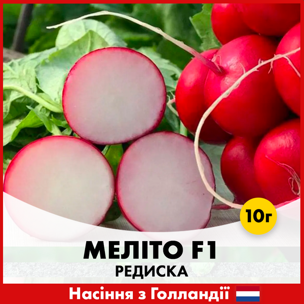 Редис Мелито F1, 10 гр, Голландские семена 00198 фото