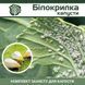 Белокрылка на капусте &ndash; комплект защиты kapusta-bilo-krylka-1 фото 1