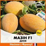 Диня Мазін F1, 5 шт, Французьке насіння R51171 фото