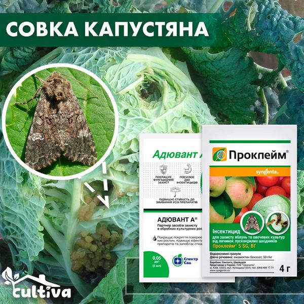 Капустная совка – комплект защиты kapusta-sovka-1 фото