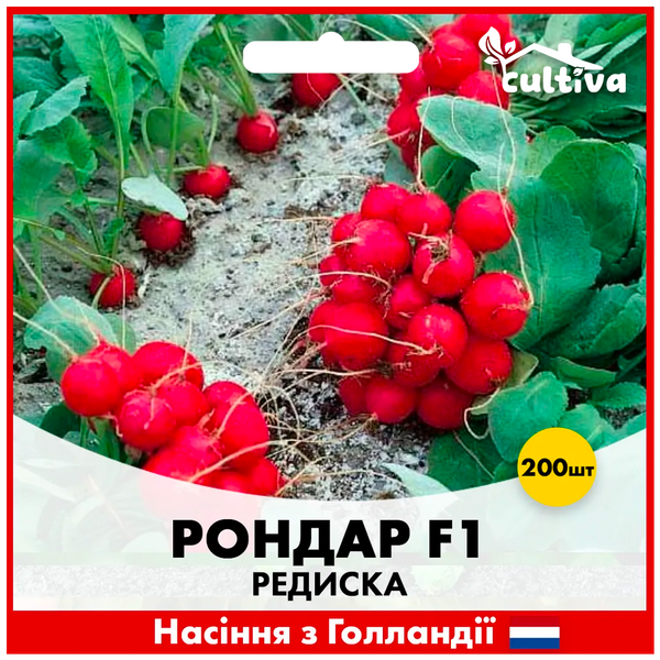 Редис Рондар F1, 200 шт, Голландские семена 00200 фото