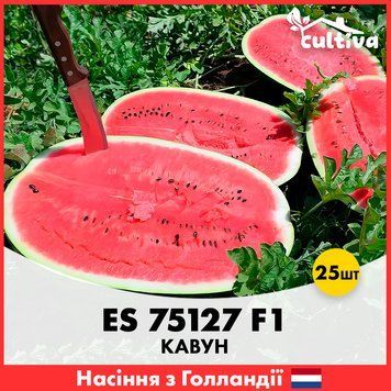 Арбуз ES 75127 F1, 25 шт, Голландские семена R51120_25 фото