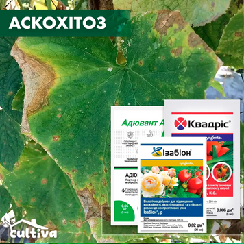 Аскохітоз огірків - комплект захисту ogirok-askoh-toz-1 фото